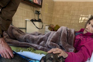 Para que um animal seja considerado apto para atuar, é necessário que um especialista emita um certificado -  (crédito: Divulgação/Bichoterapia)