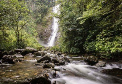  Reserva Natural Salto Morato -  (crédito: Divulgação/Fernando Carvalho) - Reserva Natural Salto Morato -  (crédito: Divulgação/Fernando Carvalho)