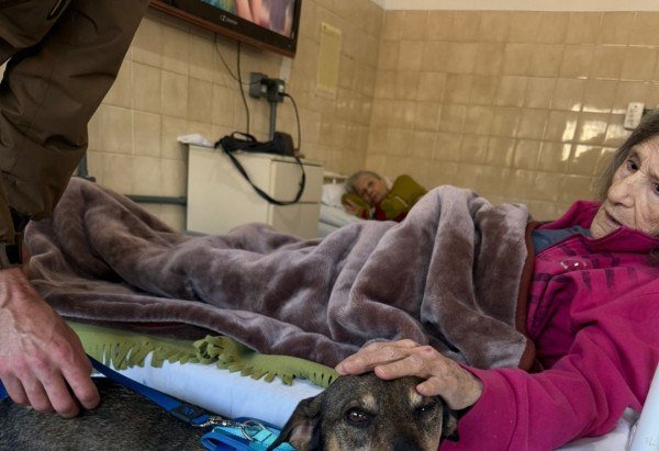 Divulgação/Bichoterapia