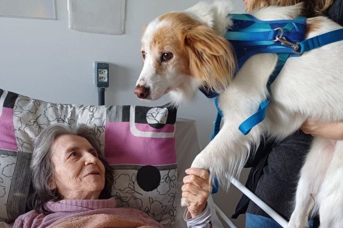 A Fundação Bichoterapia funciona 
em parceria com médicos, psicólogos, terapeutas e outros profissionais da saúde