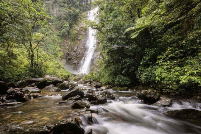 Reserva Natural Salto Morato -  (crédito: Divulgação/Fernando Carvalho)  Reserva Natural Salto Morato -  (crédito: Divulgação/Fernando Carvalho)
