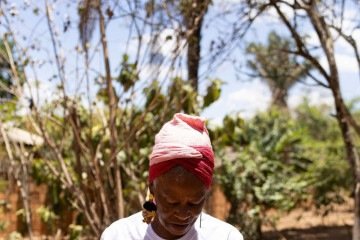 Conduzida por Isabel, a produção do açafrão é lenta e detalhista - (crédito: Ester Barros Fotografia) Conduzida por Isabel, a produção do açafrão é lenta e detalhista - (crédito: Ester Barros Fotografia)