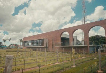 O grupo da Vinícola Brasília tem capacidade operacional para 450 mil litros -  (crédito: Divulgação) -O grupo da Vinícola Brasília tem capacidade operacional para 450 mil litros -  (crédito: Divulgação)