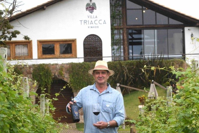 Villa Triacca colhe entre 8 e 10 mil quilos de uvas por hectare, transformando-as em cerca de 30 mil garrafas por ano