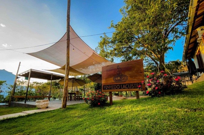 O Vinhedo Lacustre começou como produção artesanal e limitada ao vinho colonial