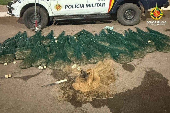 Dupla é presa por pesca predatória com 100 kg de camarão no Lago Paranoá