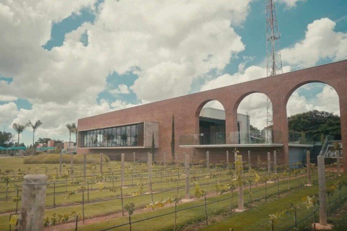 O grupo da Vinícola Brasília tem capacidade operacional para 450 mil litros - (crédito: Divulgação) O grupo da Vinícola Brasília tem capacidade operacional para 450 mil litros - (crédito: Divulgação)