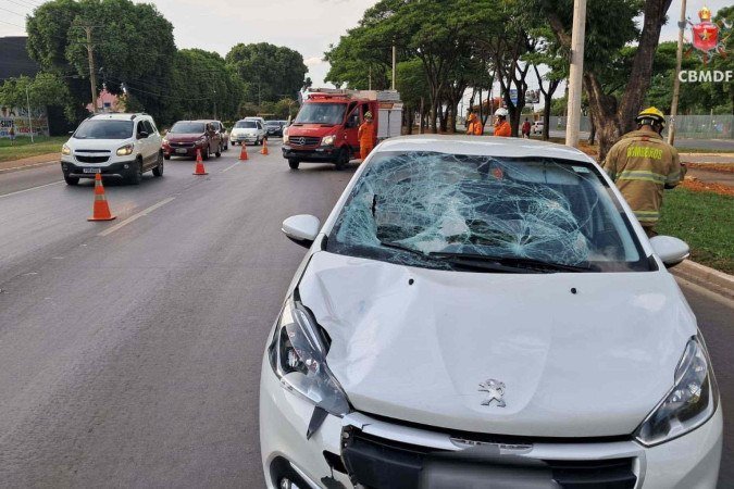 Durante o resgate, os militares controlaram o trânsito e isolaram duas faixas da via - (crédito: Divulgação/CBMDF) Durante o resgate, os militares controlaram o trânsito e isolaram duas faixas da via - (crédito: Divulgação/CBMDF)