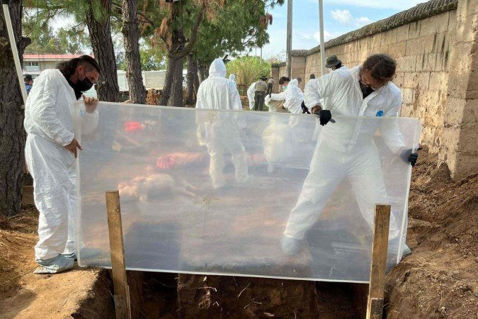 Os porcos e insetos que ajudam a encontrar desaparecidos no México