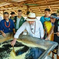 Presidente Lula ajuda a mexer nos grãos tirados da floresta -  (crédito: Ricardo Stuckert/PR)