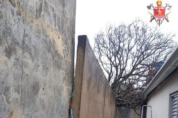 Árvore cai em residência em Taguatinga