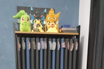 Colecionismo: A Paixão que Une Gerações e Move Milhões