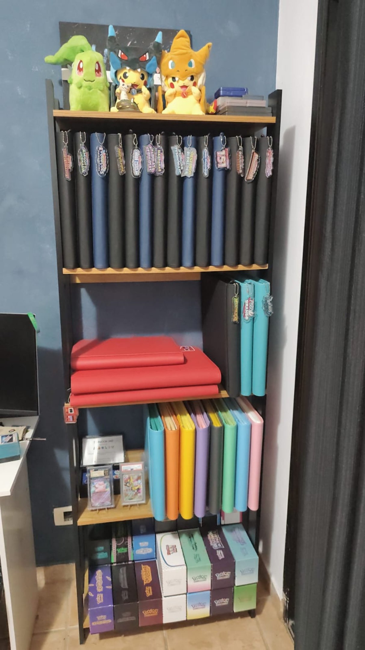 Entre figurinhas e cartas: o encanto do colecionismo que atravessa gerações