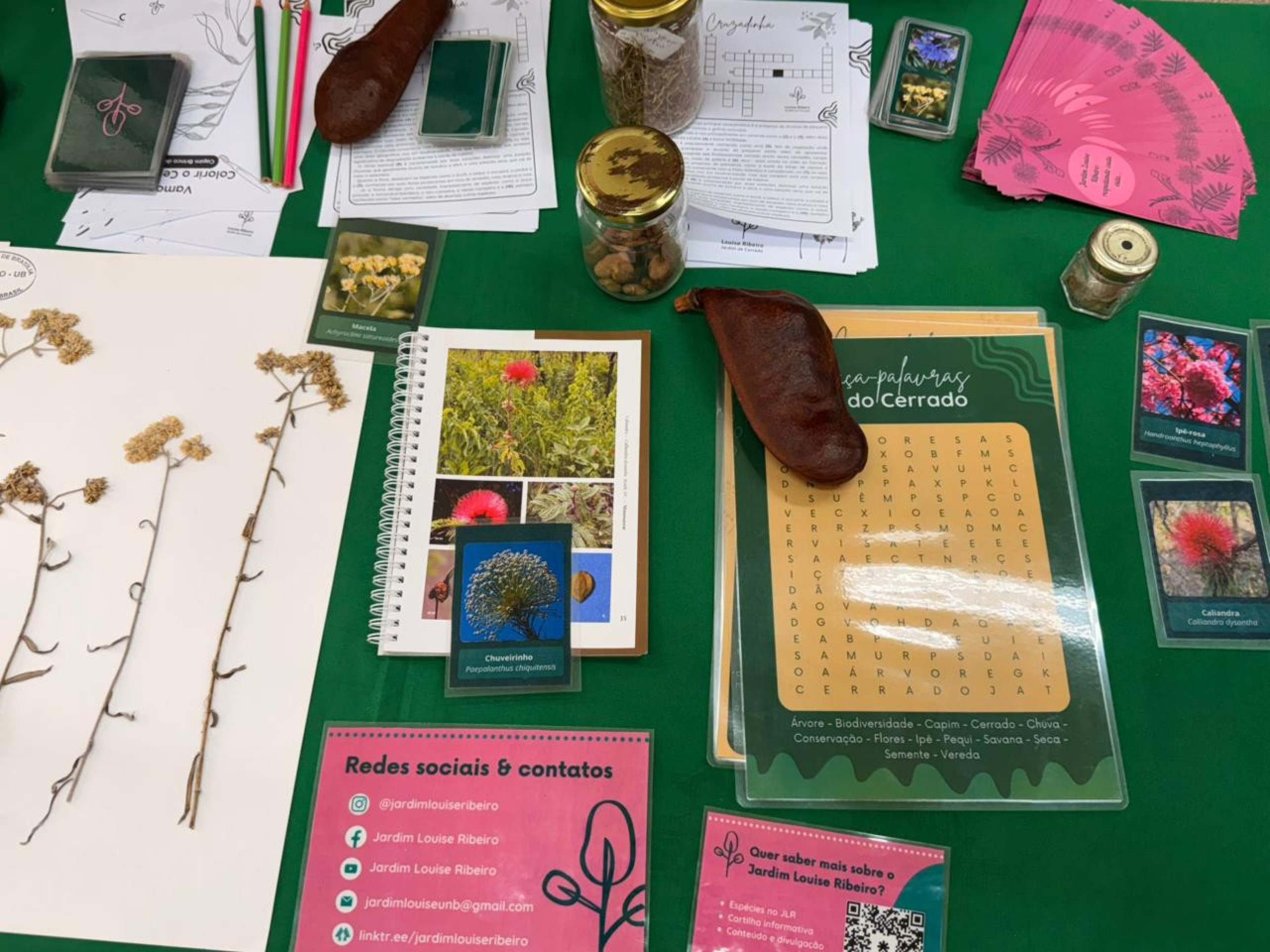 Mostra de cursos: ci&ecirc;ncias biol&oacute;gicas