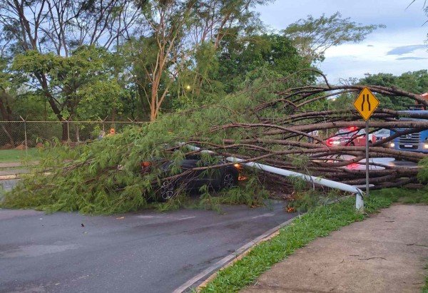 Artur Maldaner/CB/D.A.Press