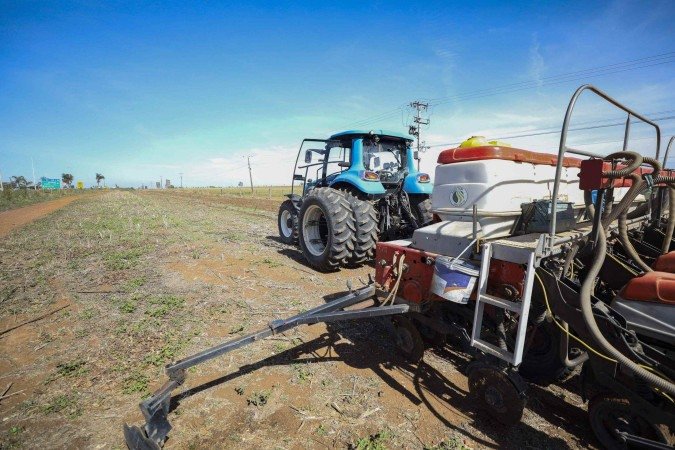 A expectativa é de que a área cultivada chegue a 90,2 mil hectares, gerando R$ 1 bilhão em renda neste ano -  (crédito: Renato Alves/Agência Brasília.)