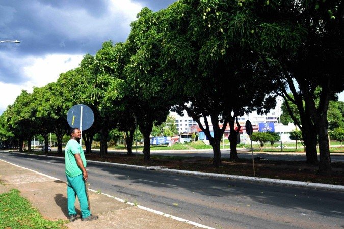  05/11/2025. Crédito: Minervino Júnior/CB/D.A Press. Brasil.  Brasilia - DF. Rua das Mangueiras temporada das Mangas em Brasília.