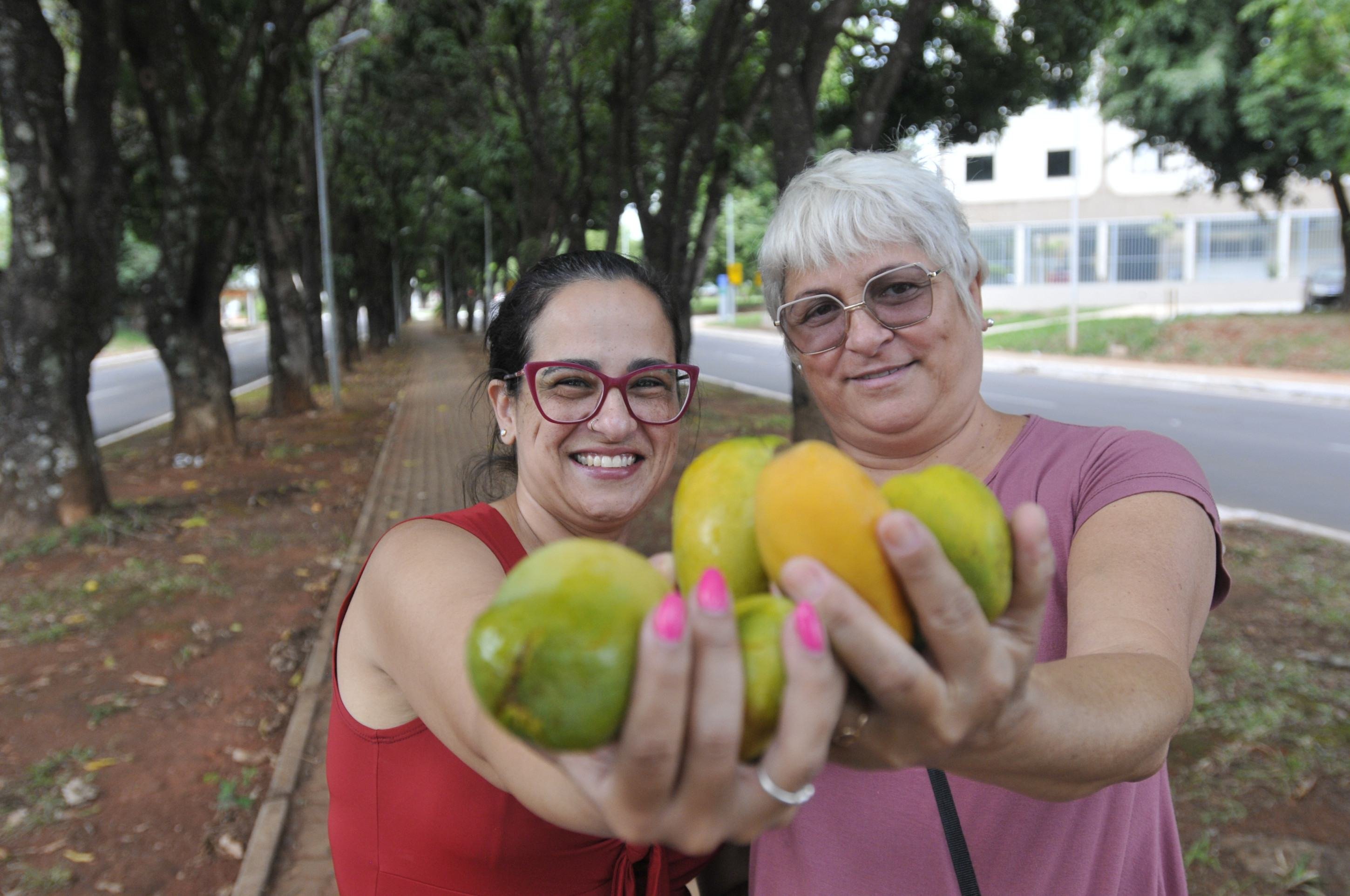  05/11/2025. Cr&eacute;dito: Minervino J&uacute;nior/CB/D.A Press. Brasil.  Brasilia - DF. Rua das Mangueiras temporada das Mangas em Bras&iacute;lia. Ivana Soares e M&aacute;rcia Cristina(cabelo grisalho)