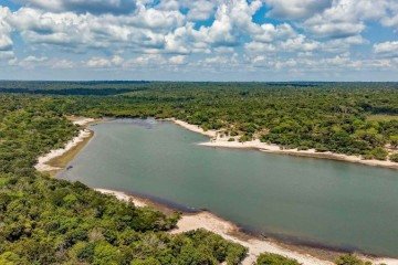 Projeto faz buscas de vestígios genéticos na Floresta Nacional do Tapajós e outras Unidades de Conservação - (crédito: Ricardo Stuckert / PR) Projeto faz buscas de vestígios genéticos na Floresta Nacional do Tapajós e outras Unidades de Conservação - (crédito: Ricardo Stuckert / PR)