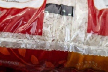 Alimentos impróprios para consumo foram recolhidos pelo Conselho