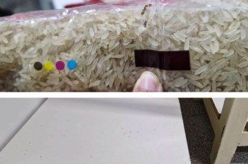 Alimentos impróprios para consumo foram recolhidos pelo Conselho