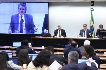 Deputados discutem propostas durante votação das emendas nas comissões permanentes da Câmara -  (crédito: Vinicius Loures/Câmara dos Deputados)