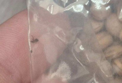 Alimentos impróprios para consumo foram recolhidos pelo Conselho -  (crédito: Divulgação/CAE-DF) -Alimentos impróprios para consumo foram recolhidos pelo Conselho -  (crédito: Divulgação/CAE-DF)