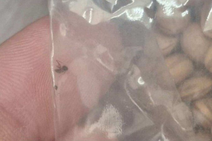 Tribunal de Contas apura denúncia de arroz com larvas servido em escolas