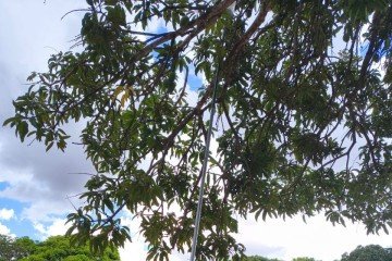 O montador Tiago Santos aproveita o intervalo do trabalho