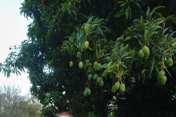 O enfermeiro Alvimar Brito gosta do contato com a natureza