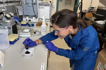 A líder da pesquisa, Leah Bushin, durante a produção do corante -  (crédito: Scripps Institution of Oceanography, UC San Diego) -A líder da pesquisa, Leah Bushin, durante a produção do corante -  (crédito: Scripps Institution of Oceanography, UC San Diego)