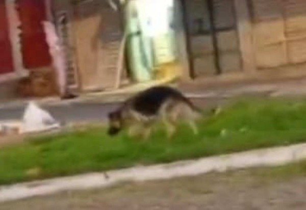 Material cedido ao Correio