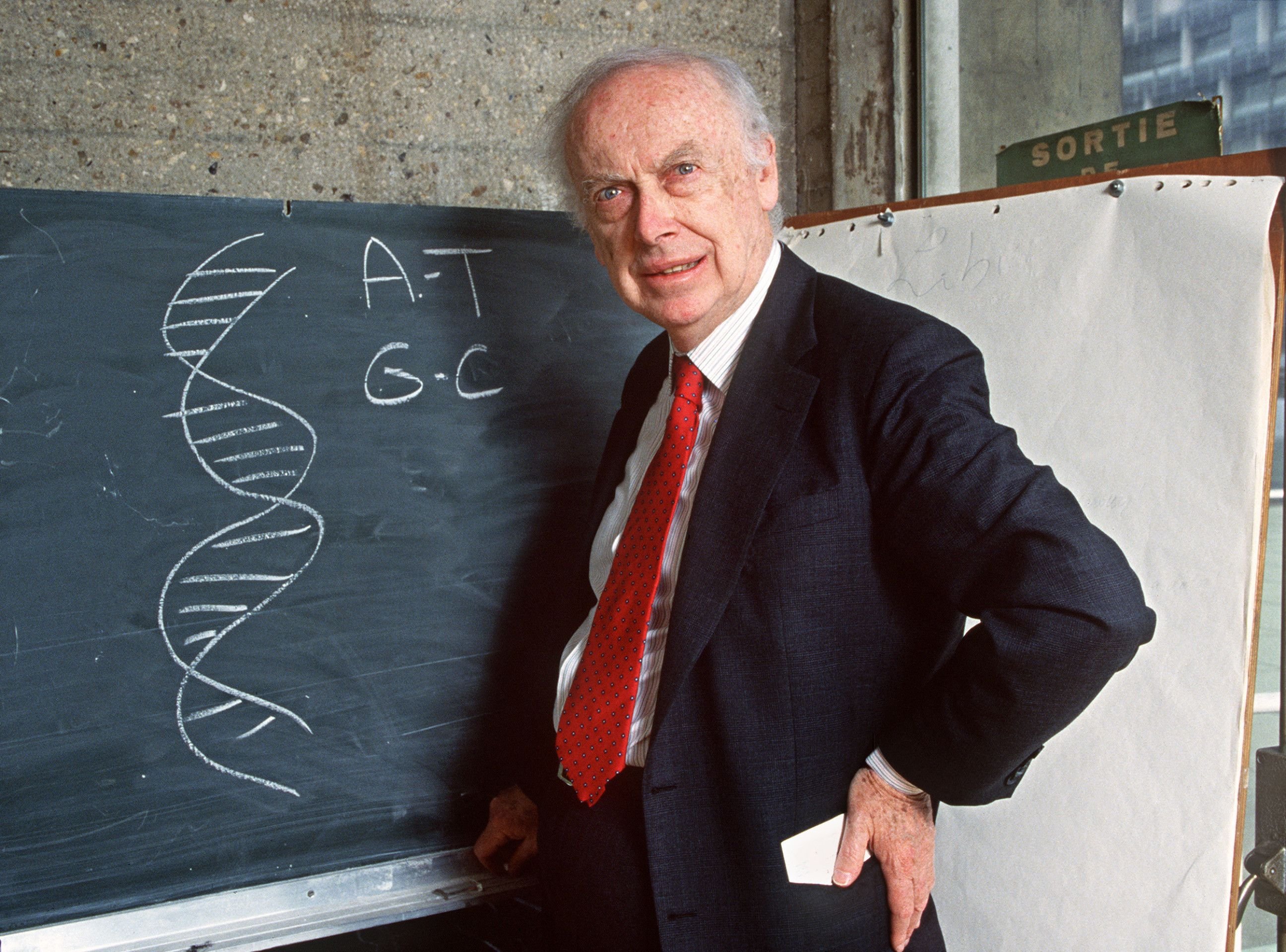 Adeus a James Watson, um dos descobridores do mapa da vida