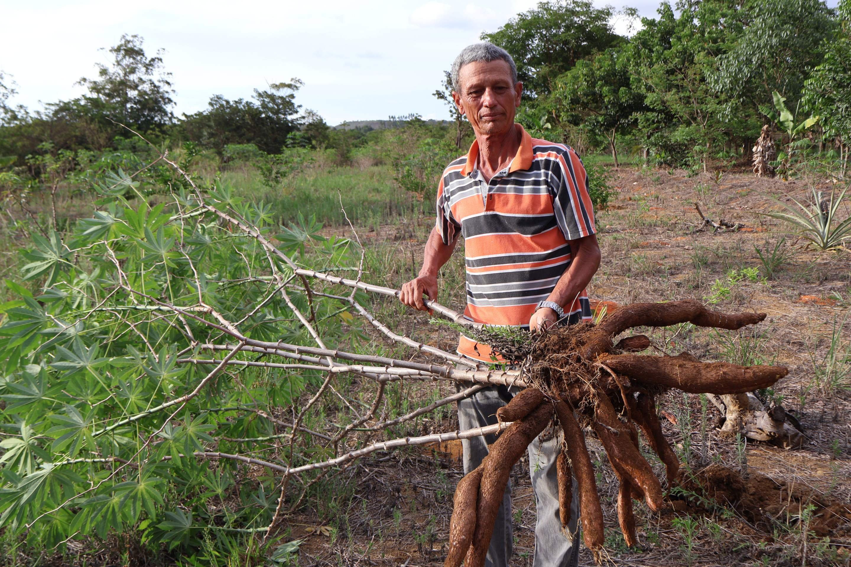 Agricultores do DF adotam práticas sustentáveis e mostram produção em harmonia com o Cerrado