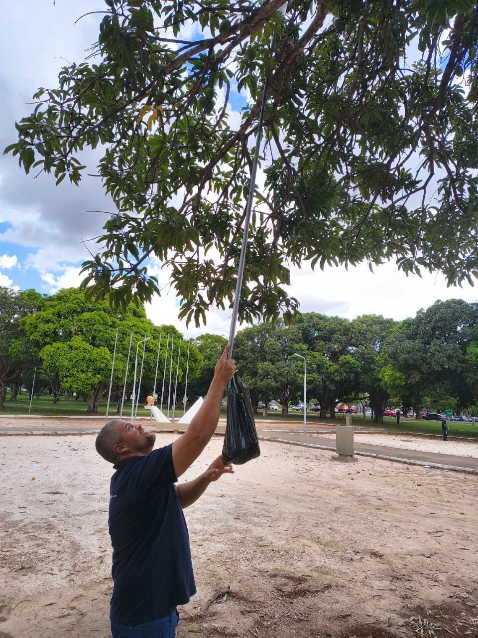 Os colegas de Tiago Santos montaram seu pr&oacute;prio aparato para coleta das mangas