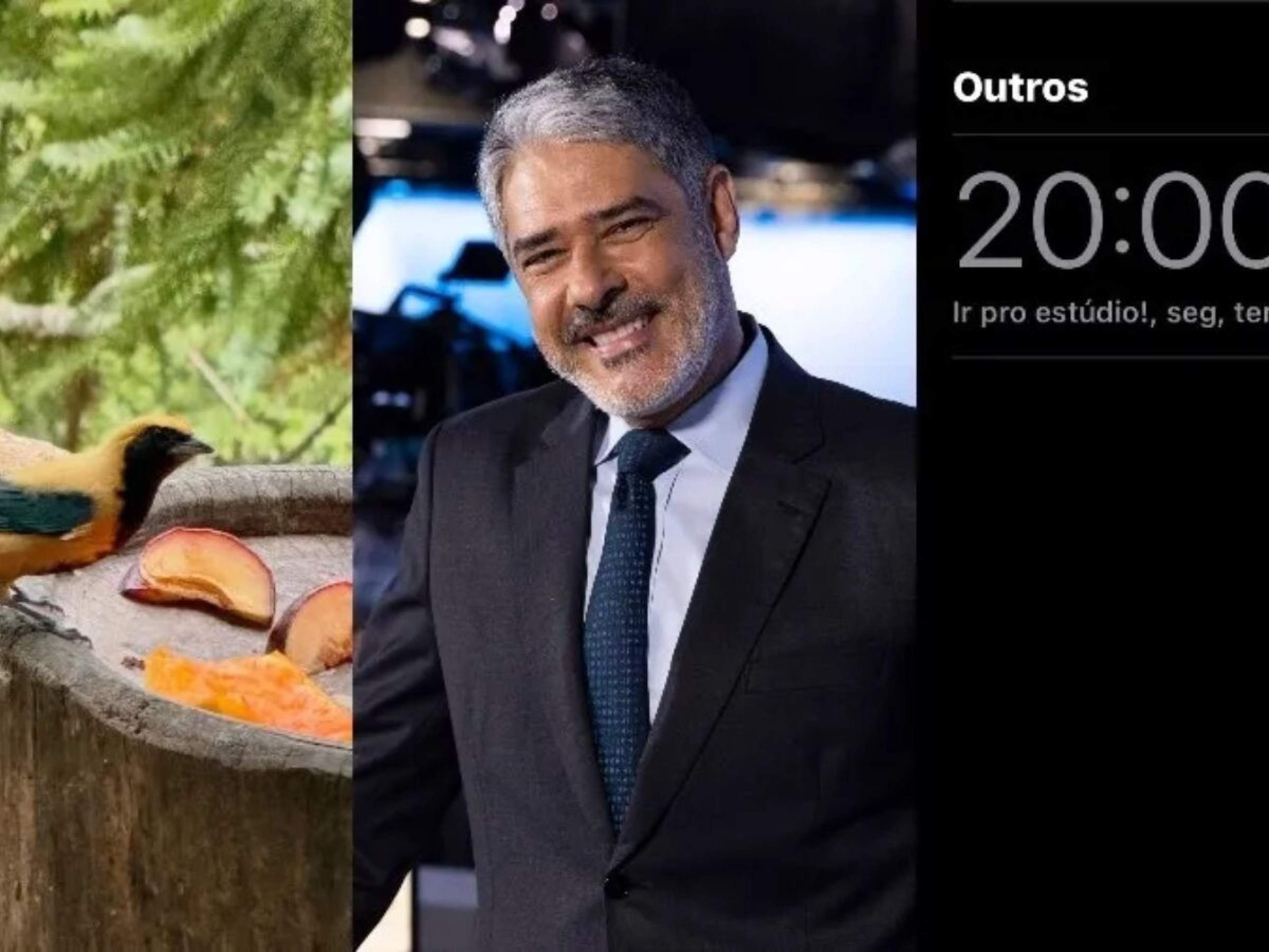 ‘Vida mais suave’: como foram os primeiros dias de Bonner fora do JN -  (crédito: Observatorio dos Famosos) -‘Vida mais suave’: como foram os primeiros dias de Bonner fora do JN -  (crédito: Observatorio dos Famosos)