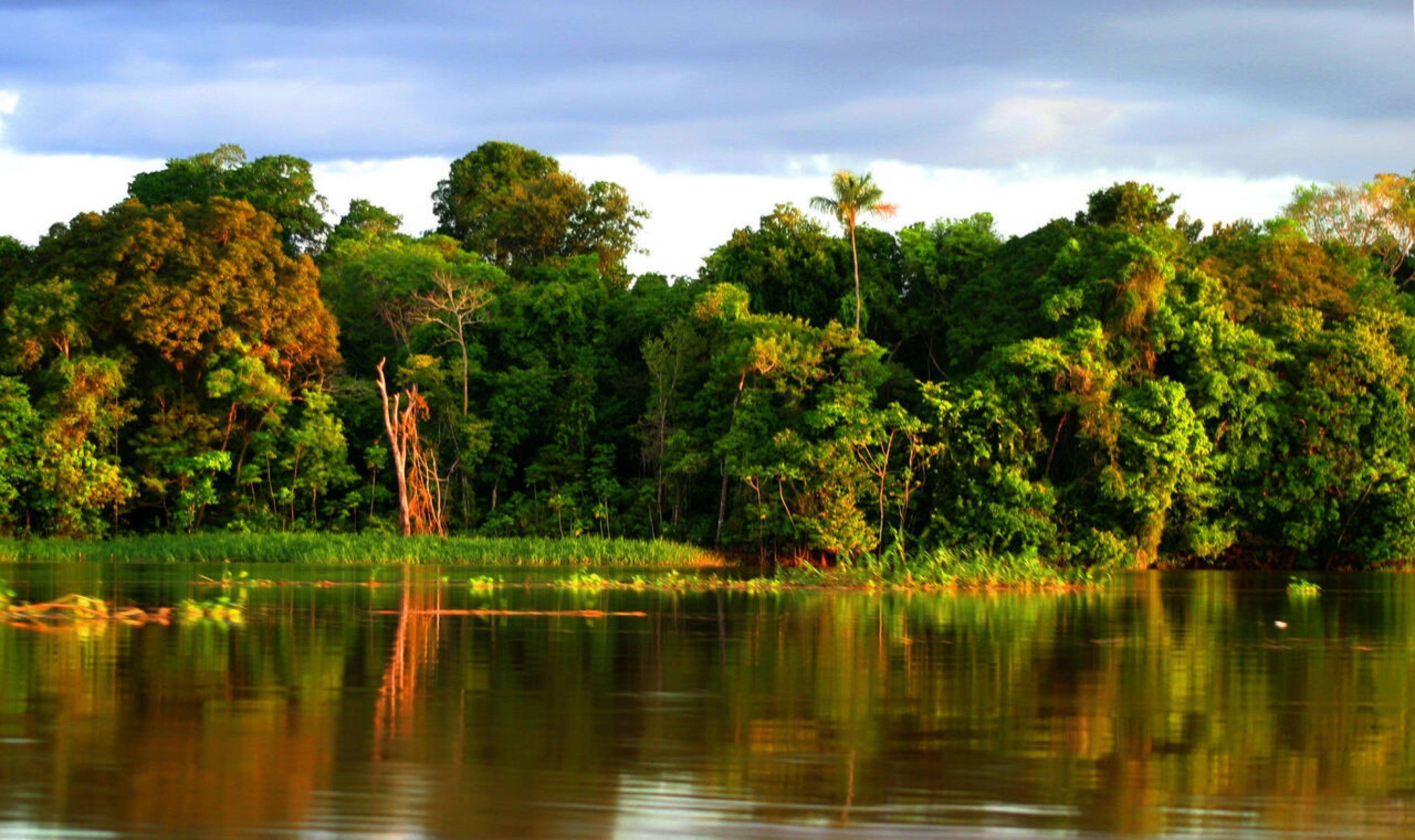 MTur lança catálogo de experiências especial COP30
