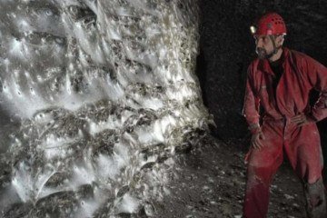 Uma teia de aranha com 106 metros quadrados foi encontrada em uma caverna europeia - (crédito: Divulgação/Urak et al.) Uma teia de aranha com 106 metros quadrados foi encontrada em uma caverna europeia - (crédito: Divulgação/Urak et al.)