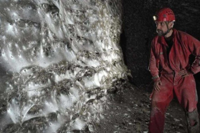 Maior teia de aranha do mundo é encontrada em caverna na Europa