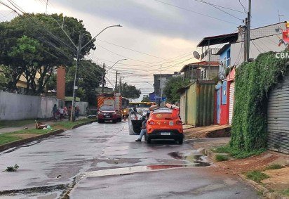 Bombeiros são acionados para ocorrência de queda de árvore