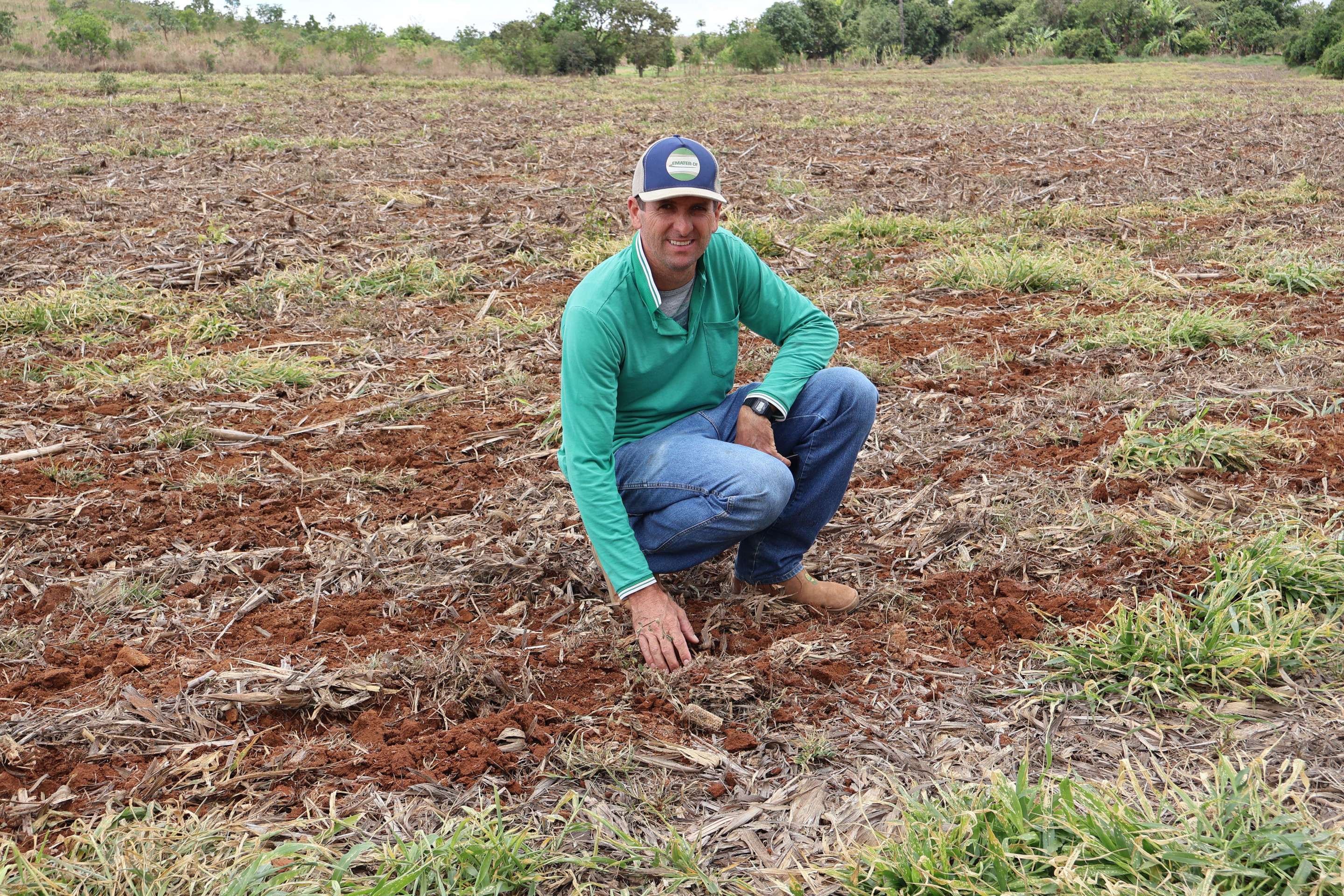  11/11/2025 Bruna Gaston CB/DA Press. O clima e os malef&iacute;cios para planta&ccedil;&otilde;es. Thiago Falqueto       
