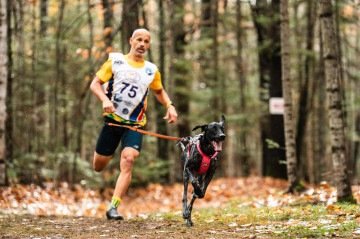 O brasileiro William Oliveira foi campeão do mundial de canicross -  (crédito:  Daniel Thibault)