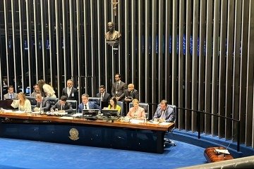 O ato, no plenário da Casa, presta homenagem ao governo fluminense, à Polícia Civil e à Polícia Militar do estado  -  (crédito: Danandra Rocha/CB/D.A Press)