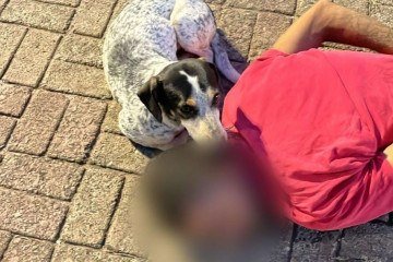 Homem foi preso pela PCDF - (crédito: PCDF/Divulgação) Homem foi preso pela PCDF - (crédito: PCDF/Divulgação)