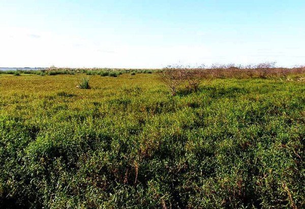 Joshua Stone/Wikimédia commons