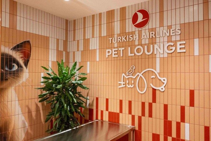 Guia completo para viajar com pets com conforto e segurança -  (crédito: Uai Turismo)