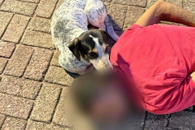 Homem foi preso pela PCDF - (crédito: PCDF/Divulgação) Homem foi preso pela PCDF - (crédito: PCDF/Divulgação)