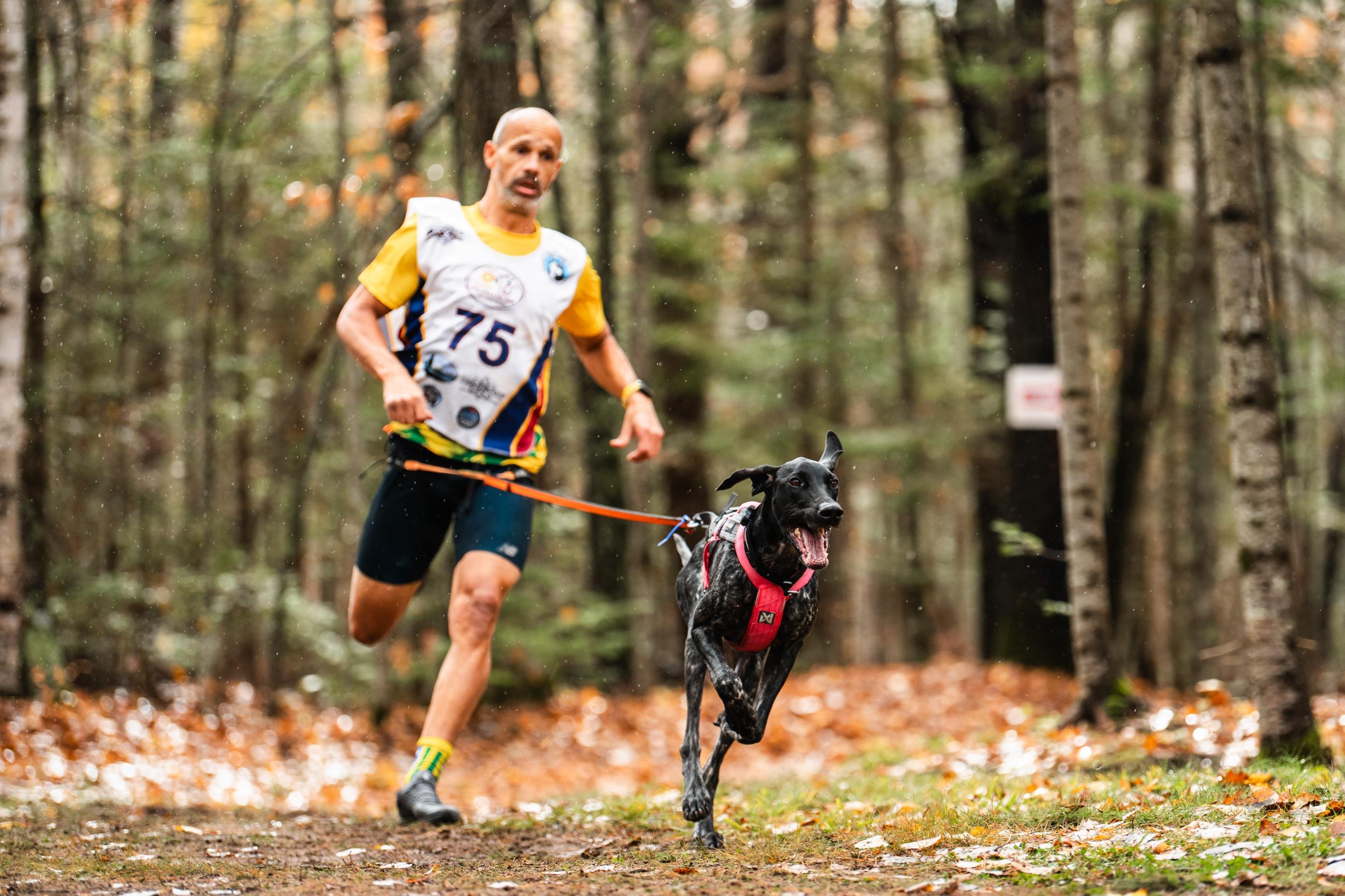 Brasileiro é campeão de mundial de canicross; conheça modalidade