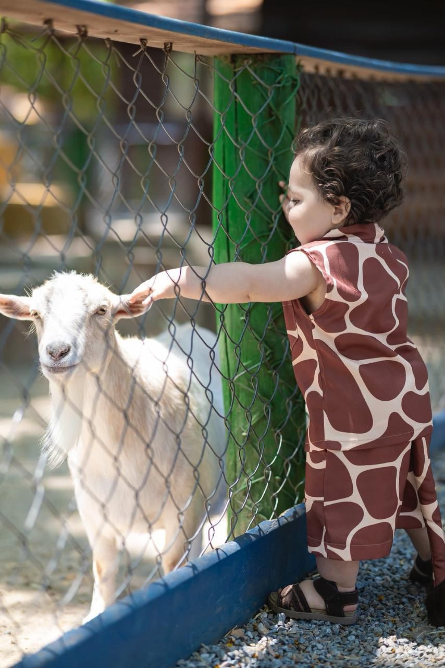Viih Tube e Eliezer celebram o 1&ordm; anivers&aacute;rio de Ravi com festa &rsquo;Arca de No&eacute;&rsquo;