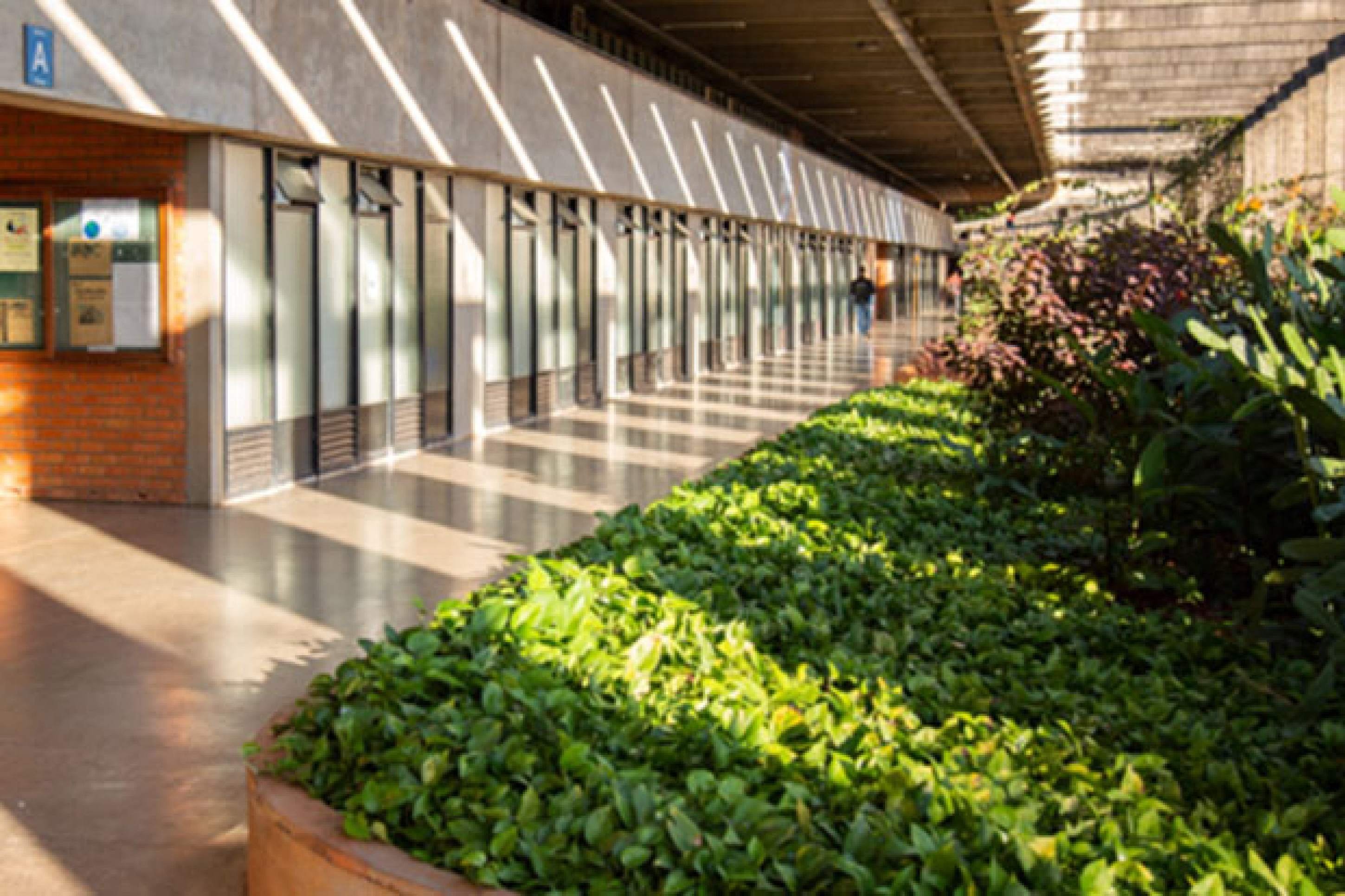 Estudante da UnB é presa após chamar colega de 